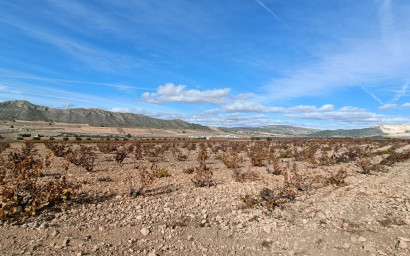 Nieuwbouw - Villa -
Canada De La Lena