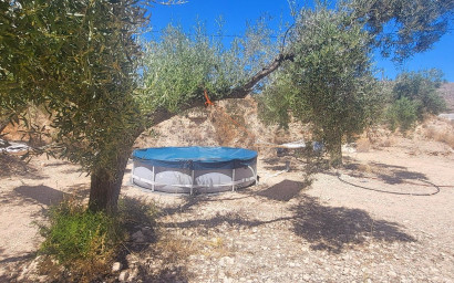 Resale - Finca - Country Property -
La Romana