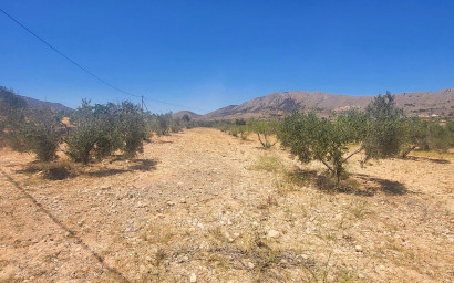 Resale - Finca - Country Property -
La Romana