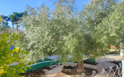 Herverkoop - Villa -
Aspe - ASPE