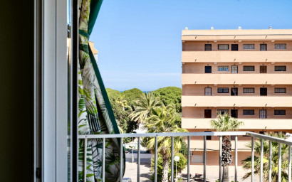 Herverkoop - Plat -
Guardamar del Segura