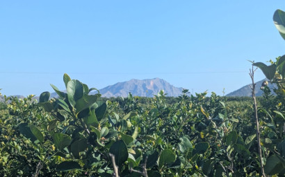 Resale - Villa -
Orihuela Costa - Orihuela