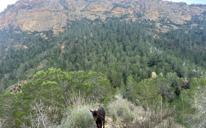 Revente - Maison de campagne -
Gea y Truyols