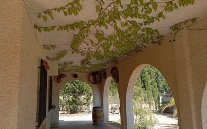 Resale - Finca - Country Property -
Yecla