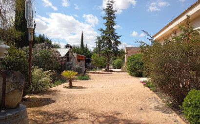 Resale - Finca - Country Property -
Yecla