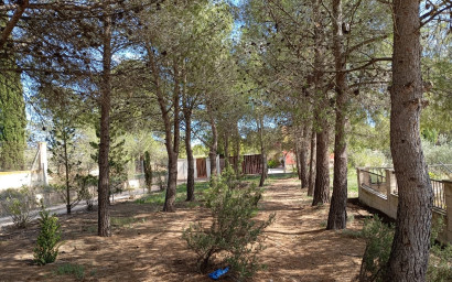 Resale - Finca - Country Property -
Yecla