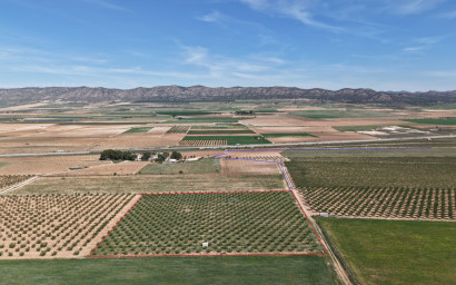 Revente - Terrain -
Yecla - Yecla Murcia