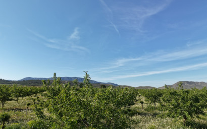 Revente - Terrain -
Yecla - Yecla Murcia