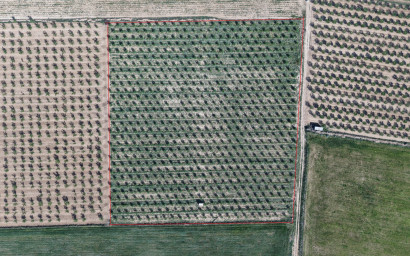 Revente - Terrain -
Yecla - Yecla Murcia