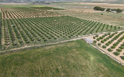 Revente - Terrain -
Yecla - Yecla Murcia