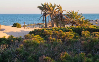 New Build - Apartment -
Guardamar del Segura - Avda del Puerto