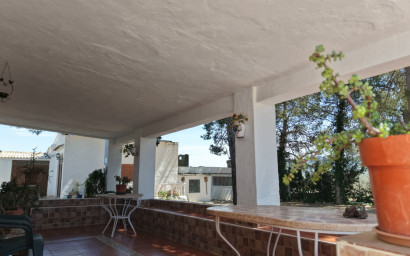Resale - Finca - Country Property -
Yecla