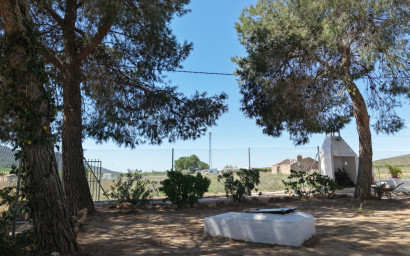 Resale - Finca - Country Property -
Yecla