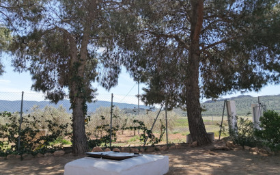 Resale - Finca - Country Property -
Yecla