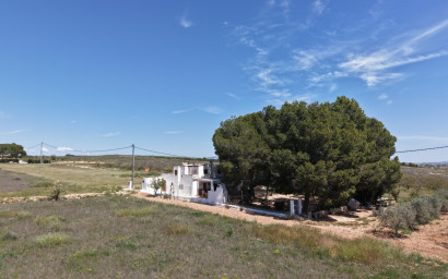 Resale - Finca - Country Property -
Yecla