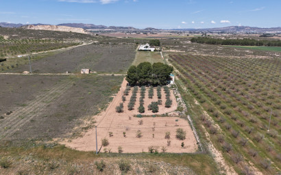 Resale - Finca - Country Property -
Yecla