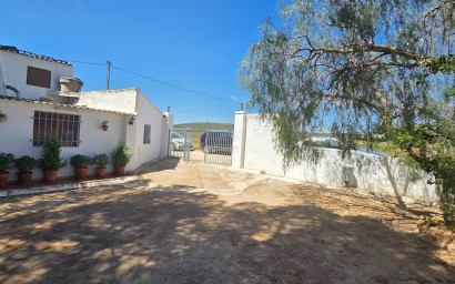 Resale - Finca - Country Property -
Yecla