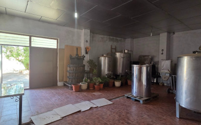 Resale - Finca - Country Property -
Yecla