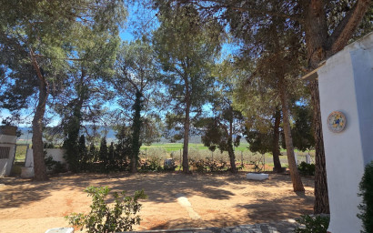 Resale - Finca - Country Property -
Yecla