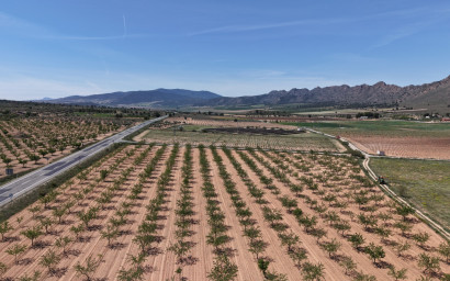 Revente - Terrain -
Yecla