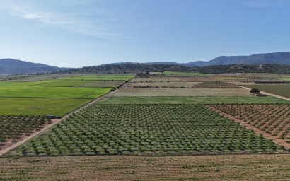 Revente - Terrain -
Yecla - Yecla Murcia
