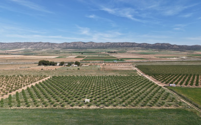 Revente - Terrain -
Yecla - Yecla Murcia