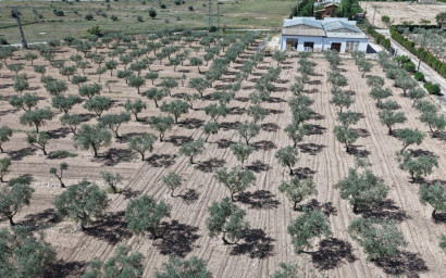 Resale - Villa -
Yecla