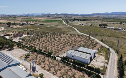 Resale - Villa -
Yecla