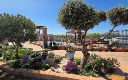 Resale - Villa -
Yecla