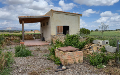 Resale - Commercial -
Almansa