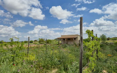 Resale - Commercial -
Almansa