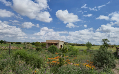 Resale - Commercial -
Almansa