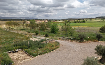 Resale - Commercial -
Almansa