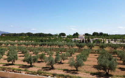 Resale - Villa -
Pinoso