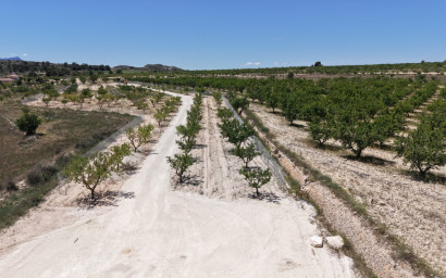 Herverkoop - Land -
Pinoso - PINOSO