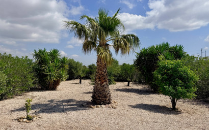 Revente - Villa -
Hondón de los Fráiles