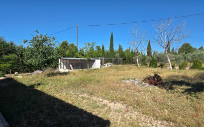 Resale - Finca - Country Property -
Yecla