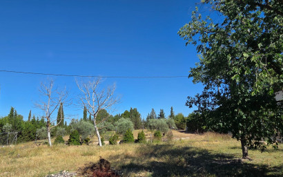 Resale - Finca - Country Property -
Yecla