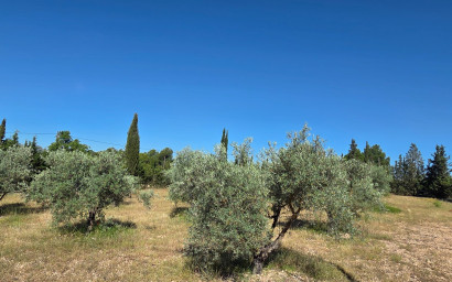 Resale - Finca - Country Property -
Yecla