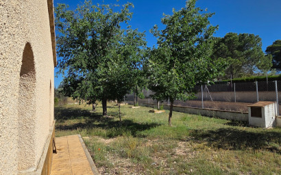Resale - Finca - Country Property -
Yecla