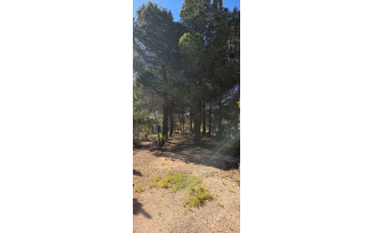 Resale - Finca - Country Property -
Yecla