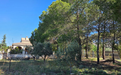 Resale - Finca - Country Property -
Yecla