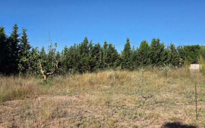 Resale - Finca - Country Property -
Yecla