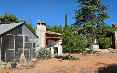 Resale - Finca - Country Property -
Yecla