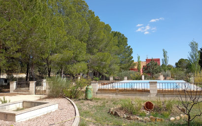 Resale - Finca - Country Property -
Yecla