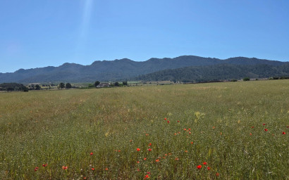 Revente - Maison de campagne -
Yecla