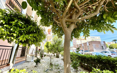 Revente - Appartement -
Torrevieja