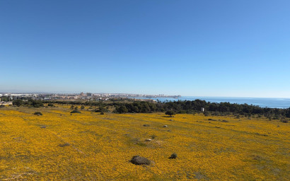 Revente - Penthouse -
Torrevieja - Punta Prima