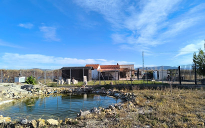 Herverkoop - Villa -
Villena - Inland