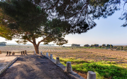 Herverkoop - Bungalow -
Torrevieja - La Siesta - El Salado - Torreta
